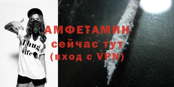 твердый Снежинск