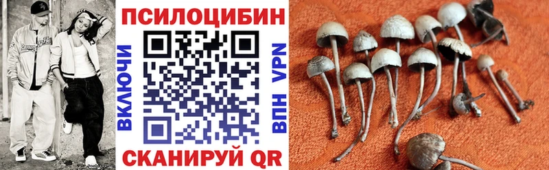 наркота  Ахтубинск  Псилоцибиновые грибы мухоморы 