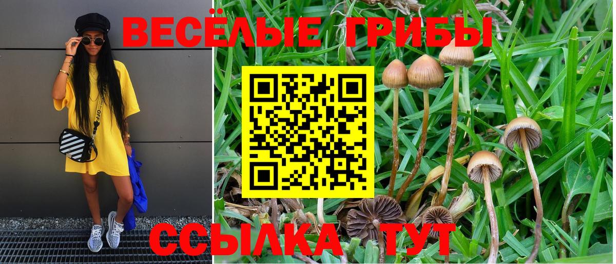 Галлюциногенные грибы MAGIC MUSHROOMS Ахтубинск