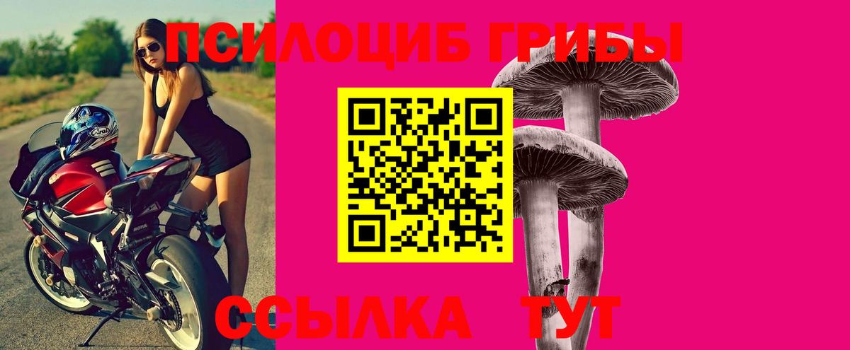 Псилоцибиновые грибы прущие грибы  Ахтубинск 