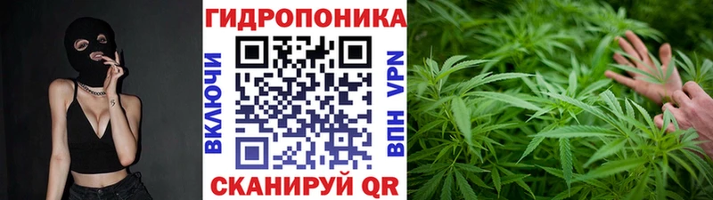 Марихуана индика  как найти наркотики  omg маркетплейс  Ахтубинск 