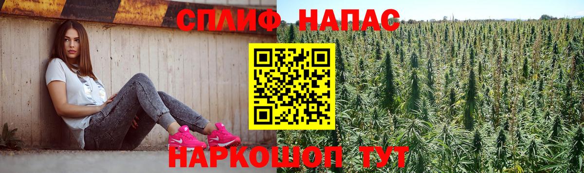 Каннабис Bruce Banner  Канабис сатива  Ахтубинск  Марихуана марихуана 